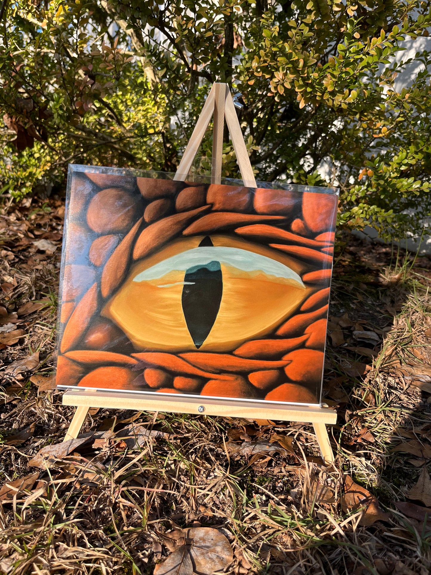 "Dragon Eye" giclee art print