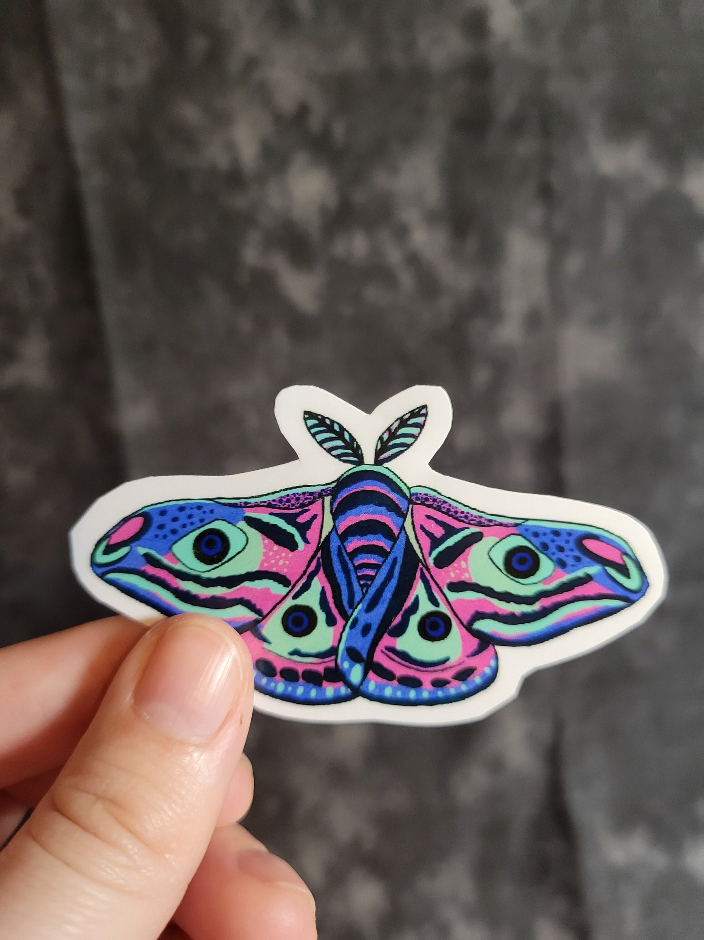 Moth Weatherproof Vinyl Sticker