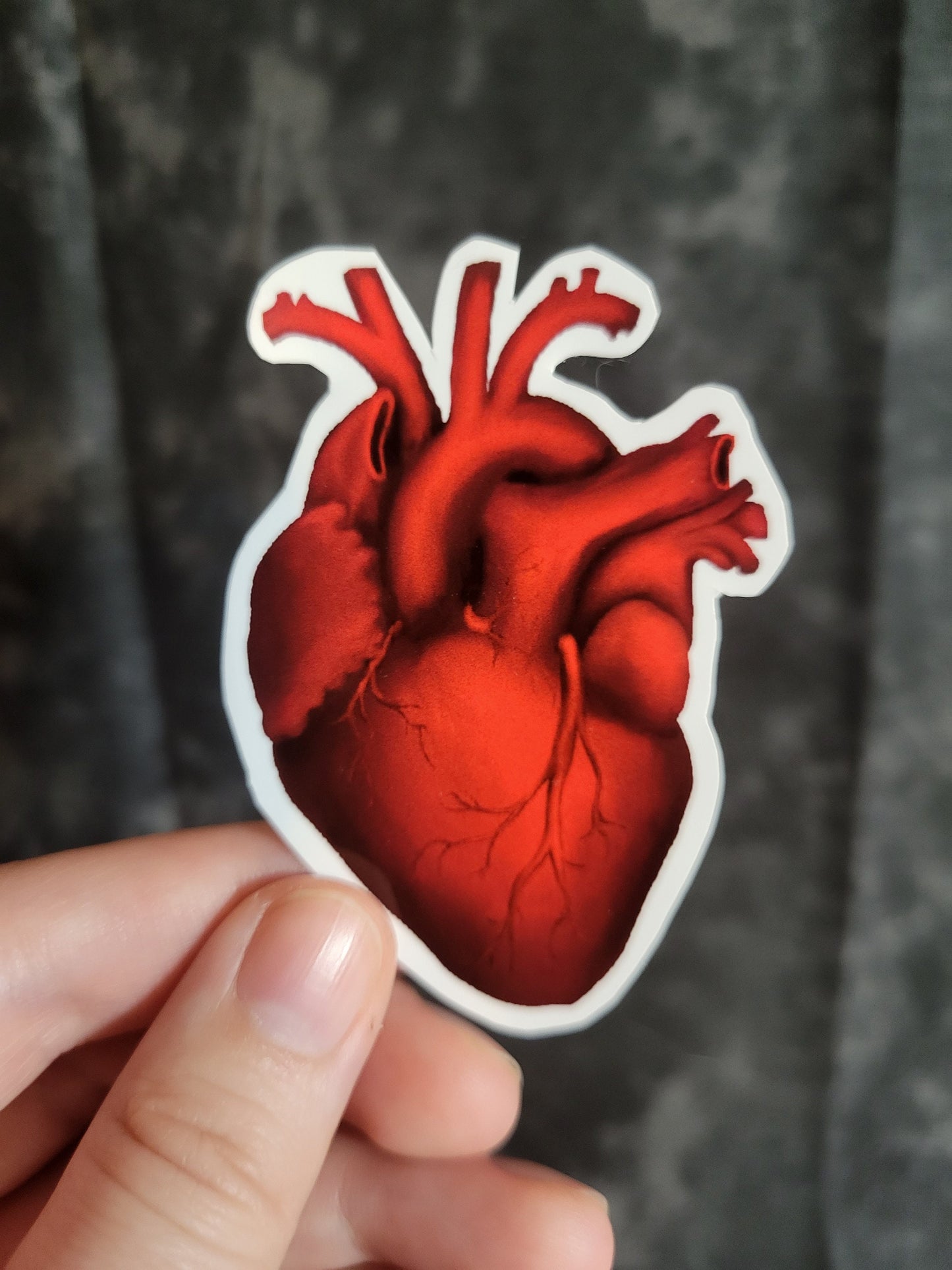 Realistic Heart Weatherproof Vinyl Sticker