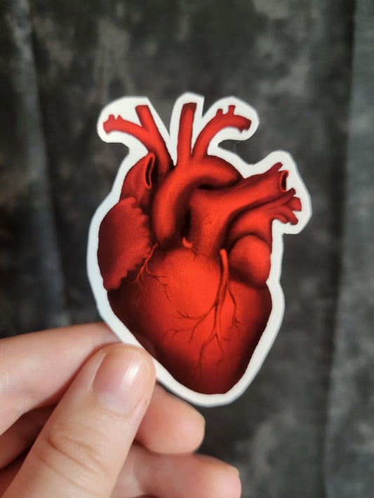 Realistic Heart Weatherproof Vinyl Sticker