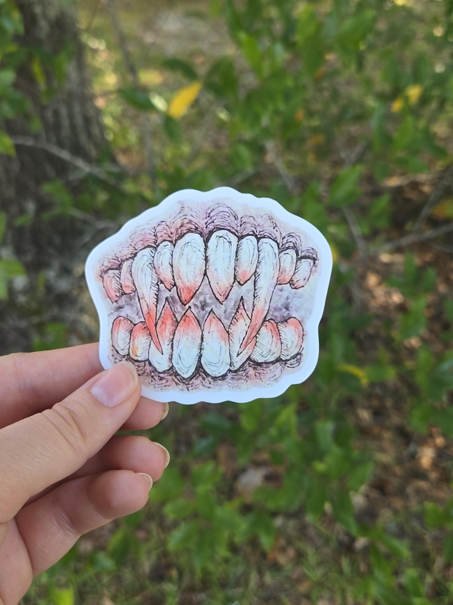 Vampire teeth 3'' Weatherproof Vinyl Sticker