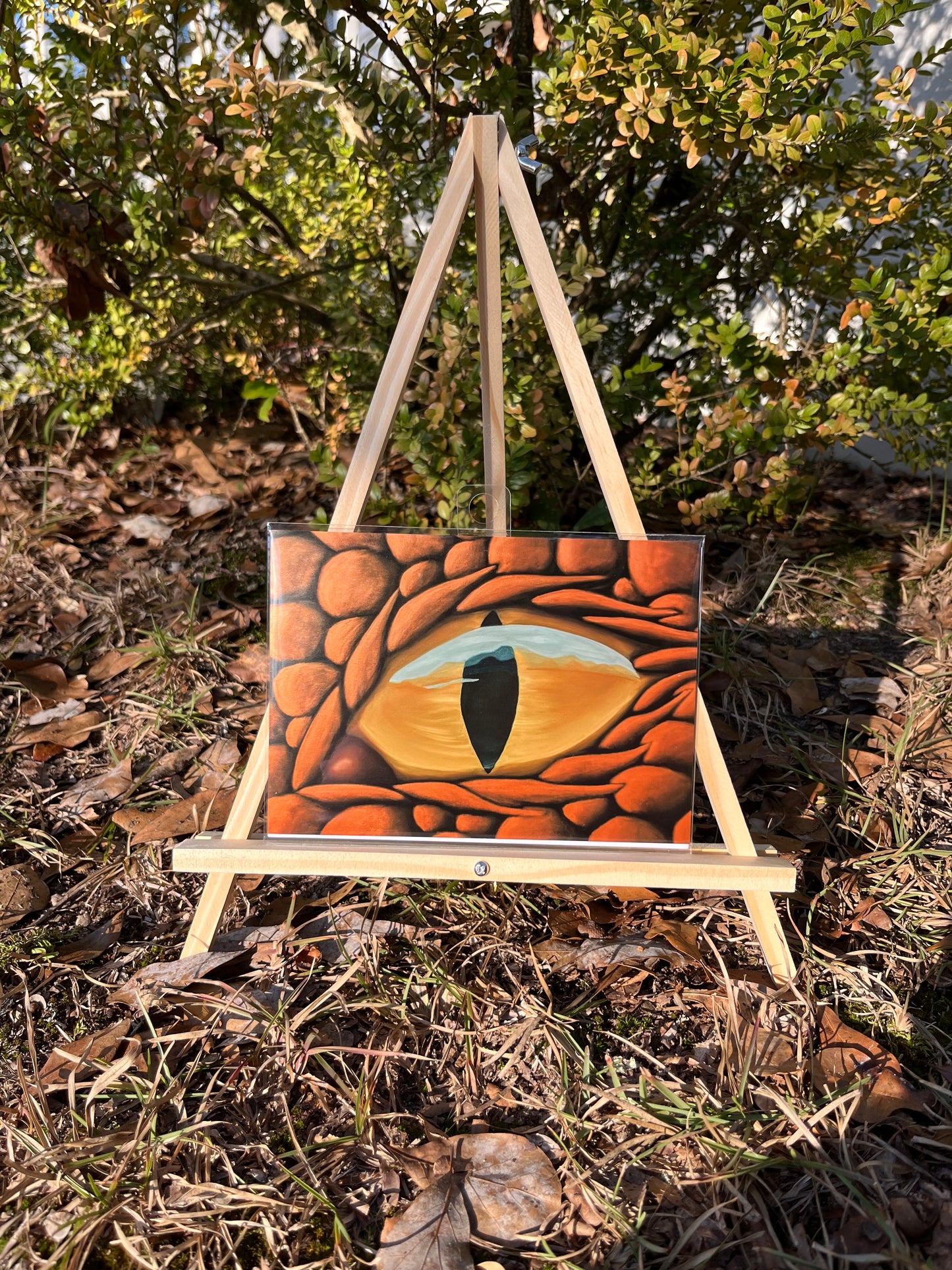 "Dragon Eye" giclee art print
