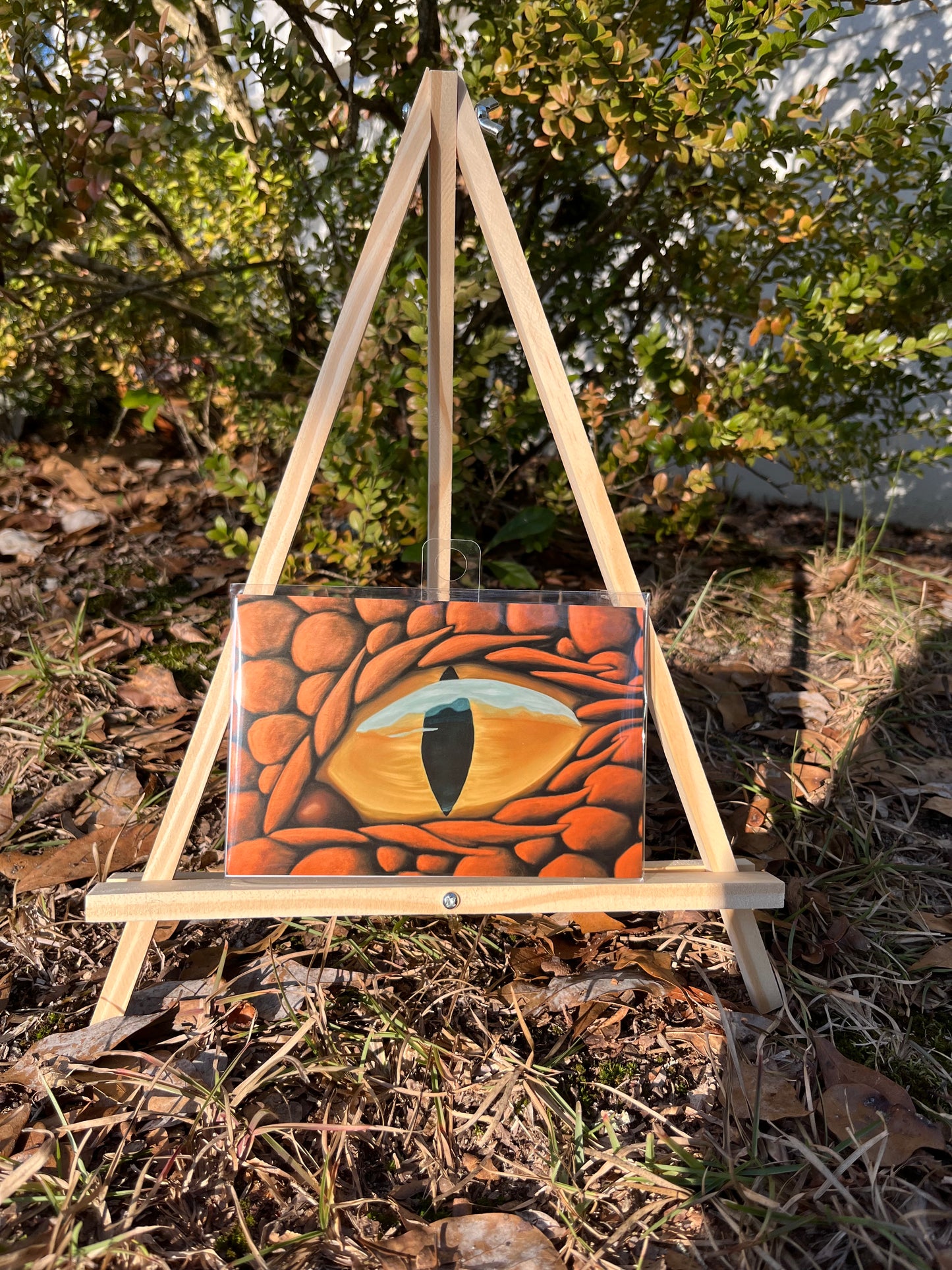 "Dragon Eye" giclee art print
