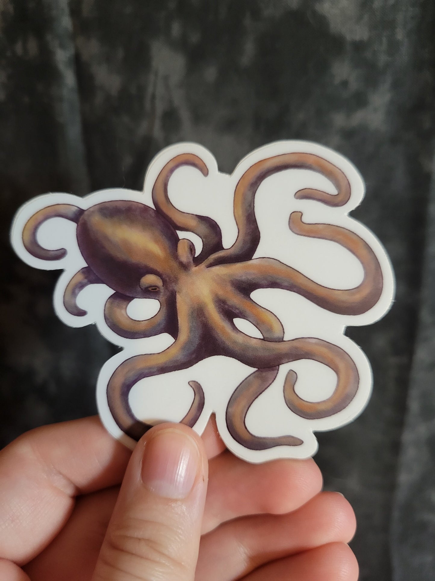 Octopus Weatherproof Vinyl Sticker